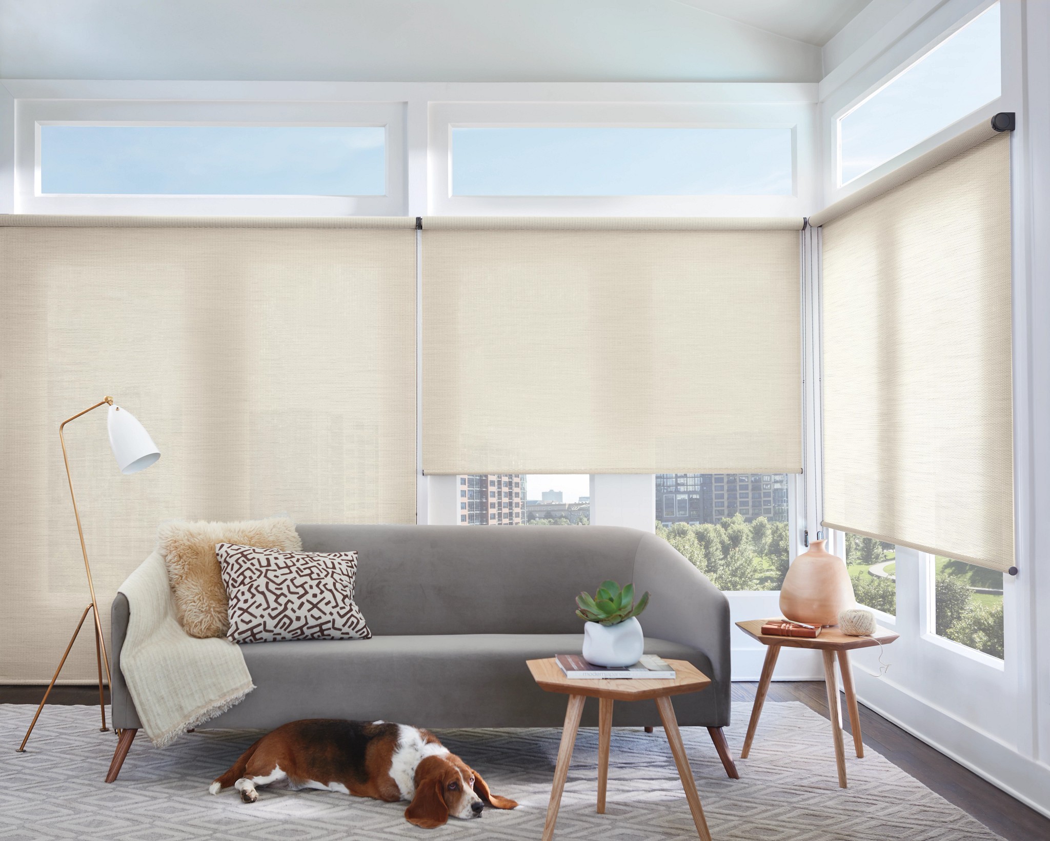 Designer Roller Shades - Image 25