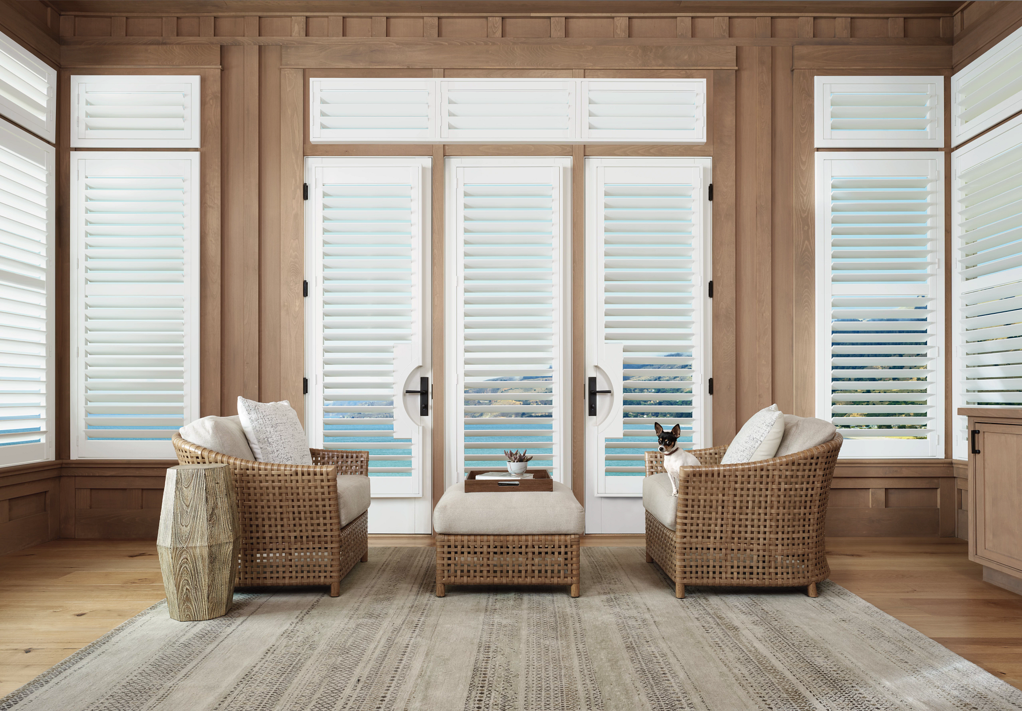 French Doors - Image 6