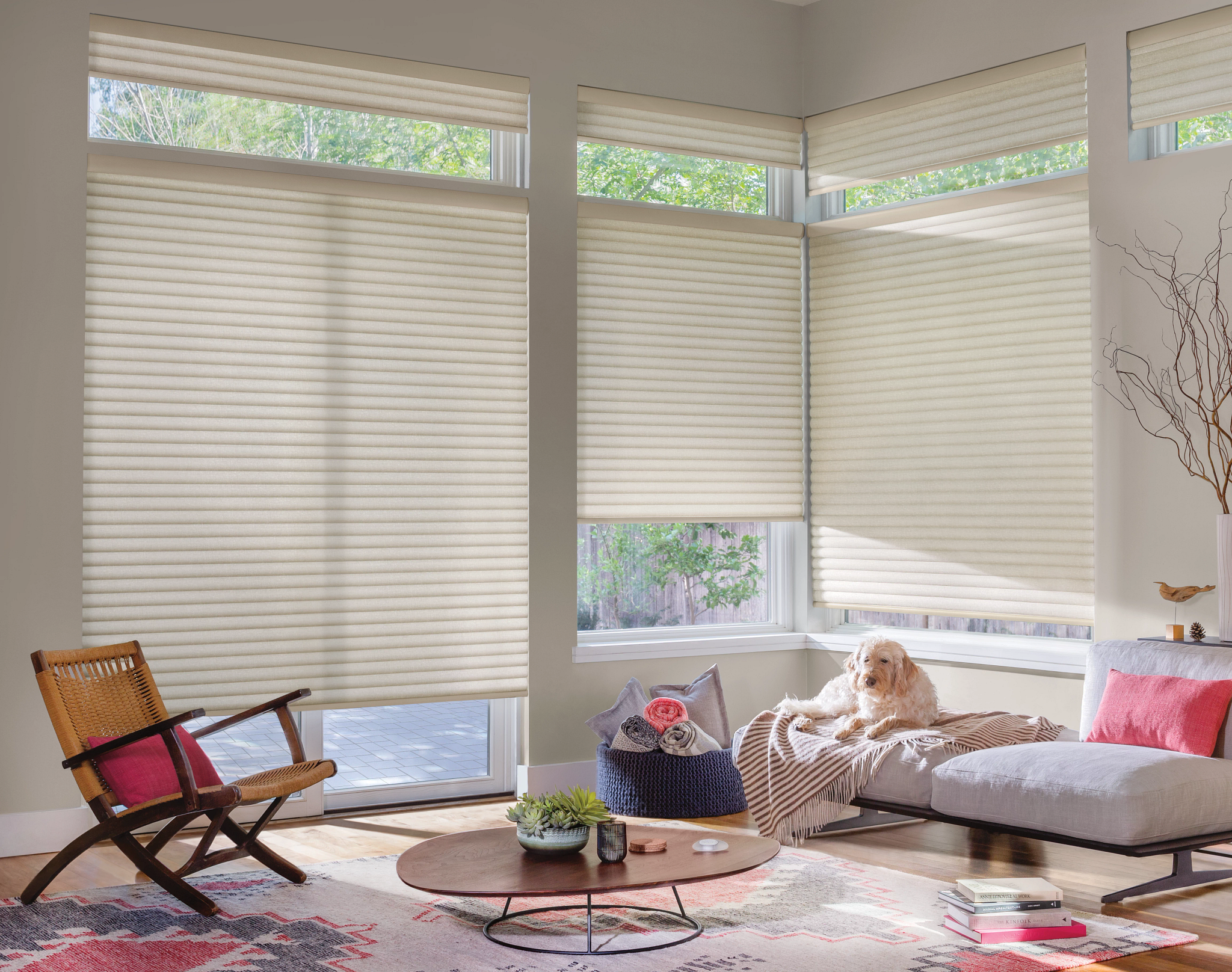 Sonnette® Roller Shades - Image 10