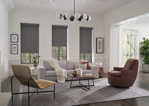 Designer Roller Shades - Content 1