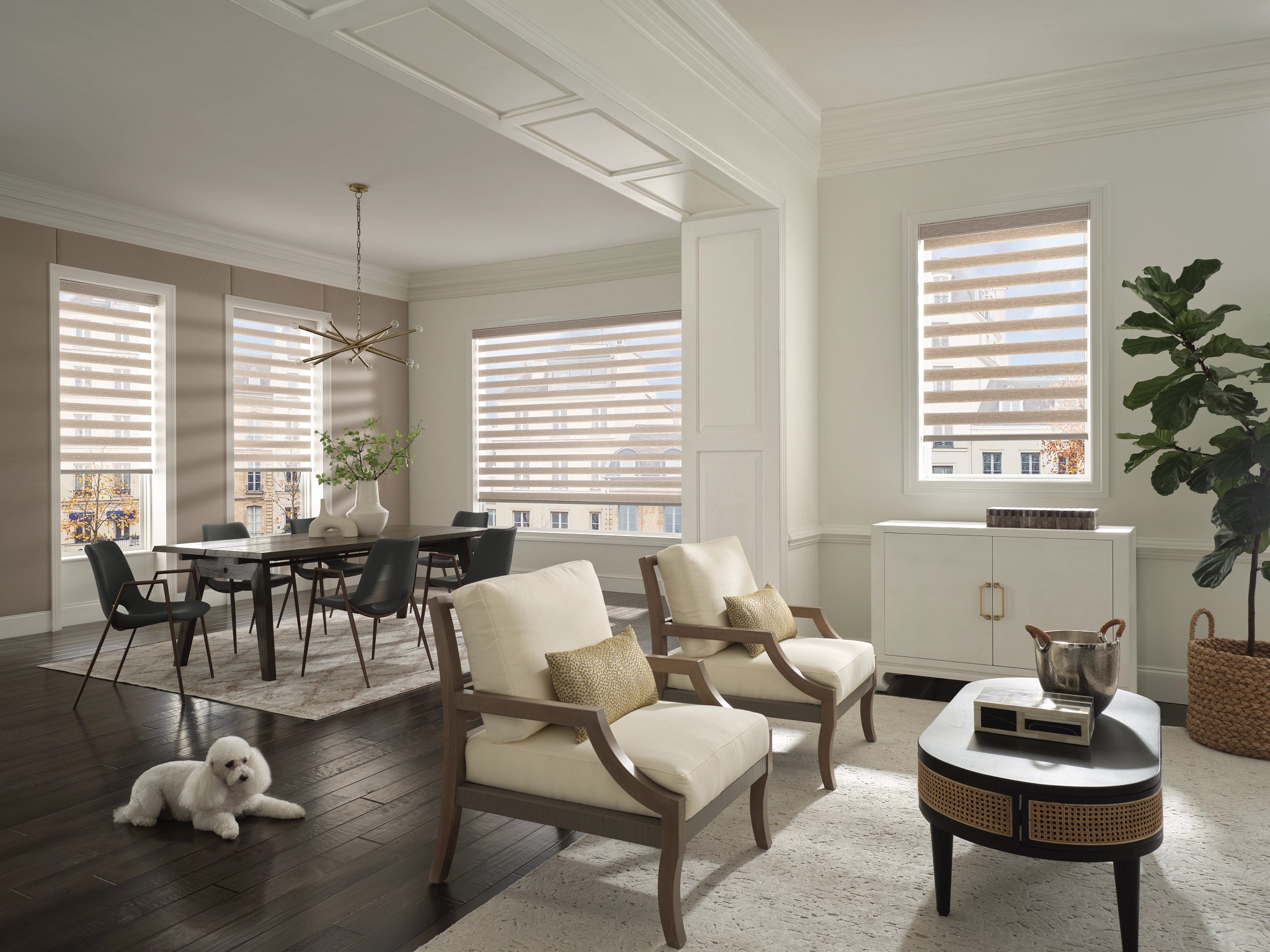 Designer Banded Shades - Image 9